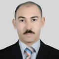 Ayman Mahros
