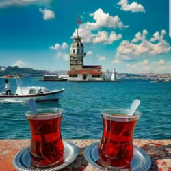 karenalvaradolopez21