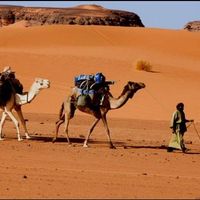 petitcouplealaventure