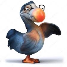 dodo6388