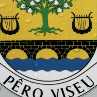 beesoul12