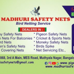 madhurisafetynets101