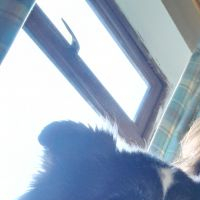 monty2444