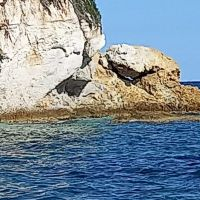 Gamannossialberto4