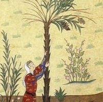 Maryam Malek