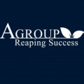 Agroup consulting
