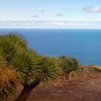 armandoarquitectura5