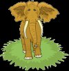 papythai