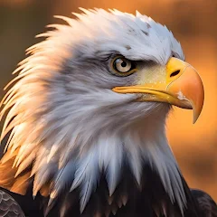 Jennings Appiah-Tabi