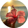 ArweninBrazil