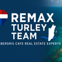 REMAX Turley Team