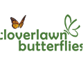 Cloverlawn Butterflies