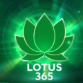 lotus365ab