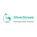 SilverStreak12