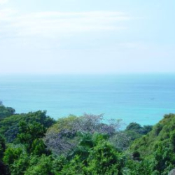 GreenLivingInDR