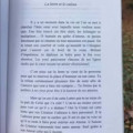 Ines Abms