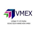 VMEX PHAISINH
