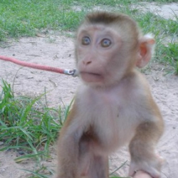 BangkokPrakanong
