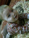Naya2012