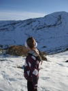 Santanderina