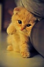 janna_187