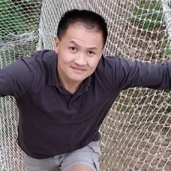 koala100