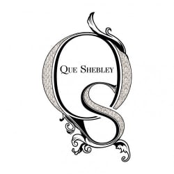 Qthedesigner