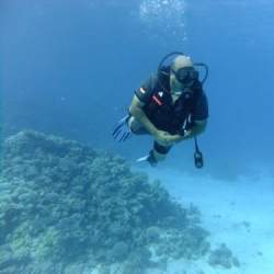 Diver