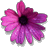 tatoune