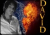 David-1991
