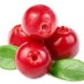 Cranberries