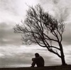 The Loner