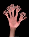 Dmesh