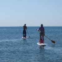 Triton29