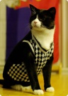 gretchen_