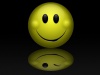 mike.lhn
