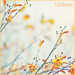Llylewë