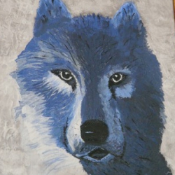 pti loup
