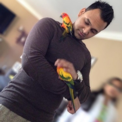 jawad88