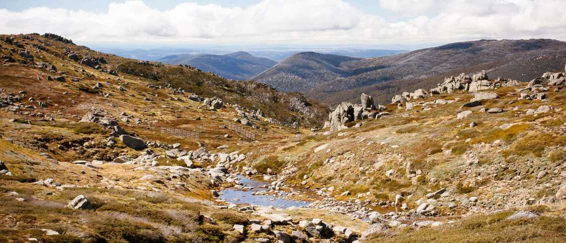 Living in New South Wales: the ultimate expat guide