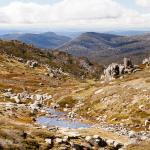 New South Wales