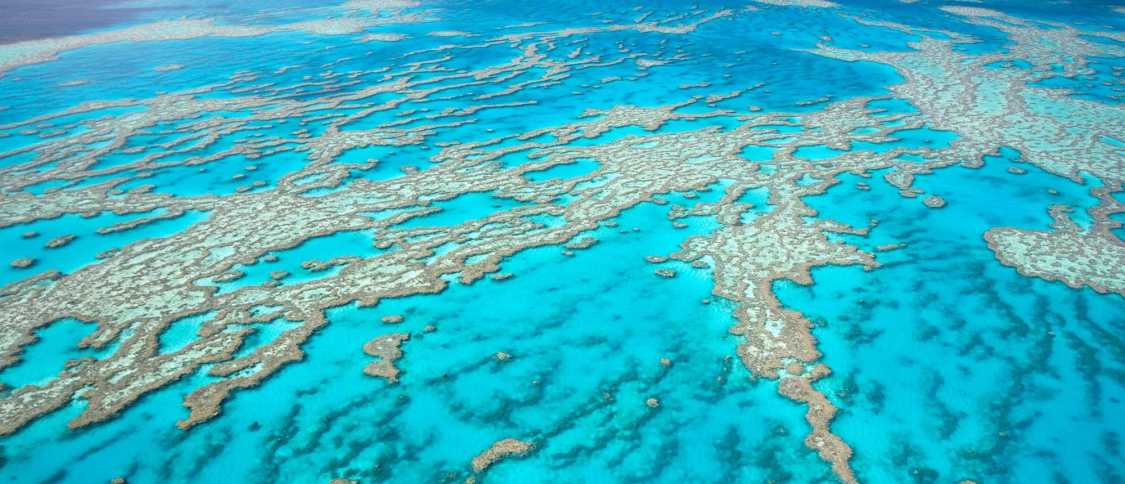 Living in the Queensland: the ultimate expat guide