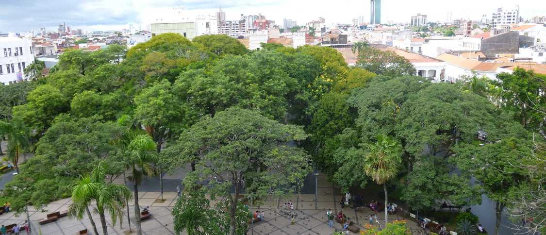 Vivir en Santa Cruz: guía completa para expatriados