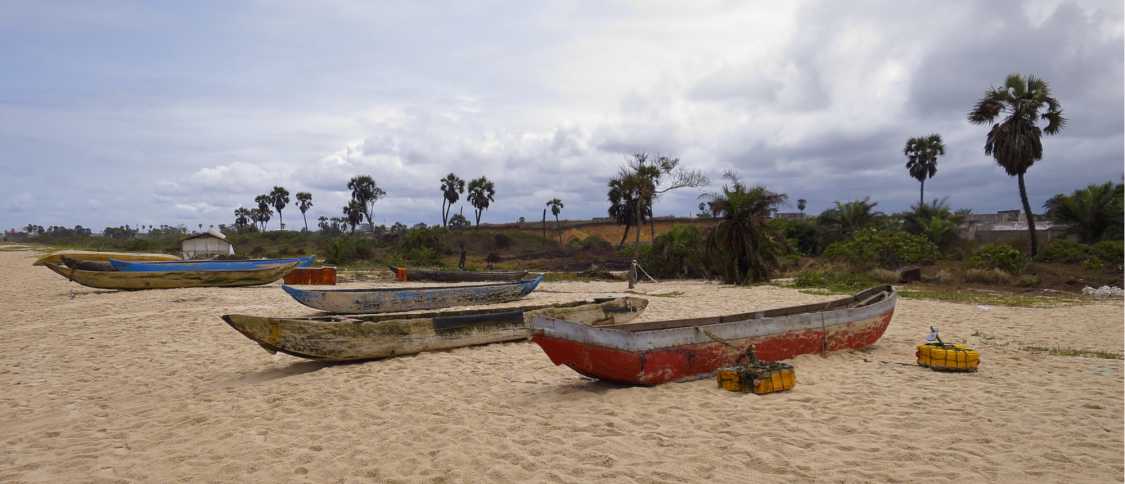Vivre au Congo : le guide de l'expatrié