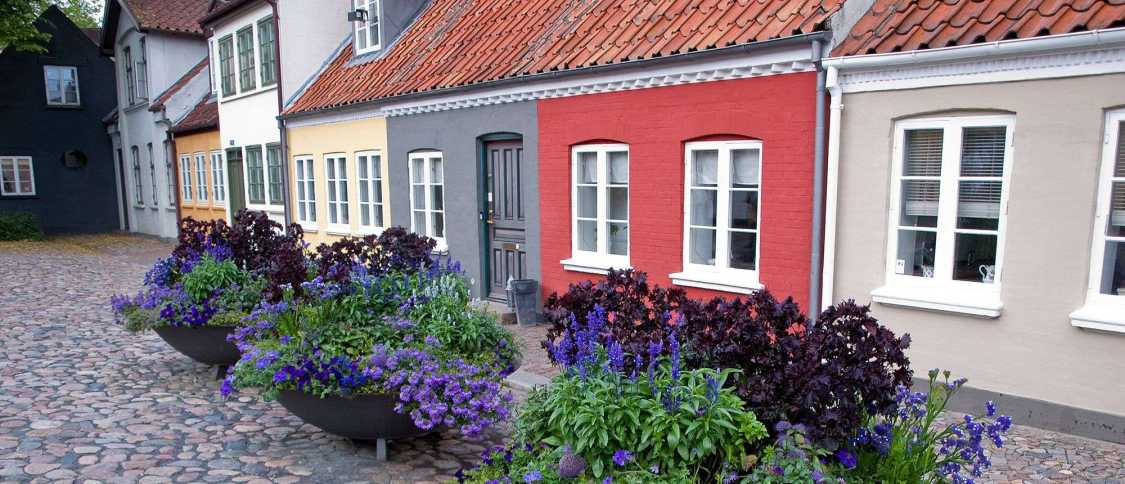 Vivir en Odense: guía completa para expatriados