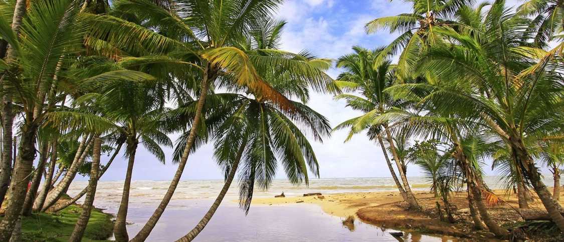 Vivere a Las Terrenas: guida per gli espatriati