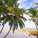 Las Terrenas