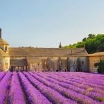 Provence