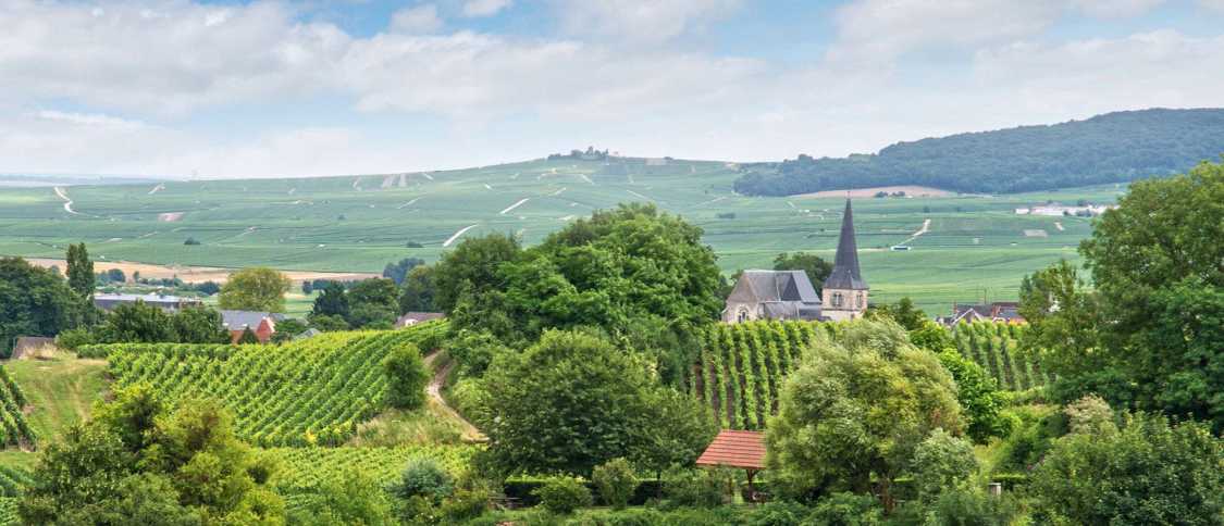 Living in Reims: the ultimate expat guide