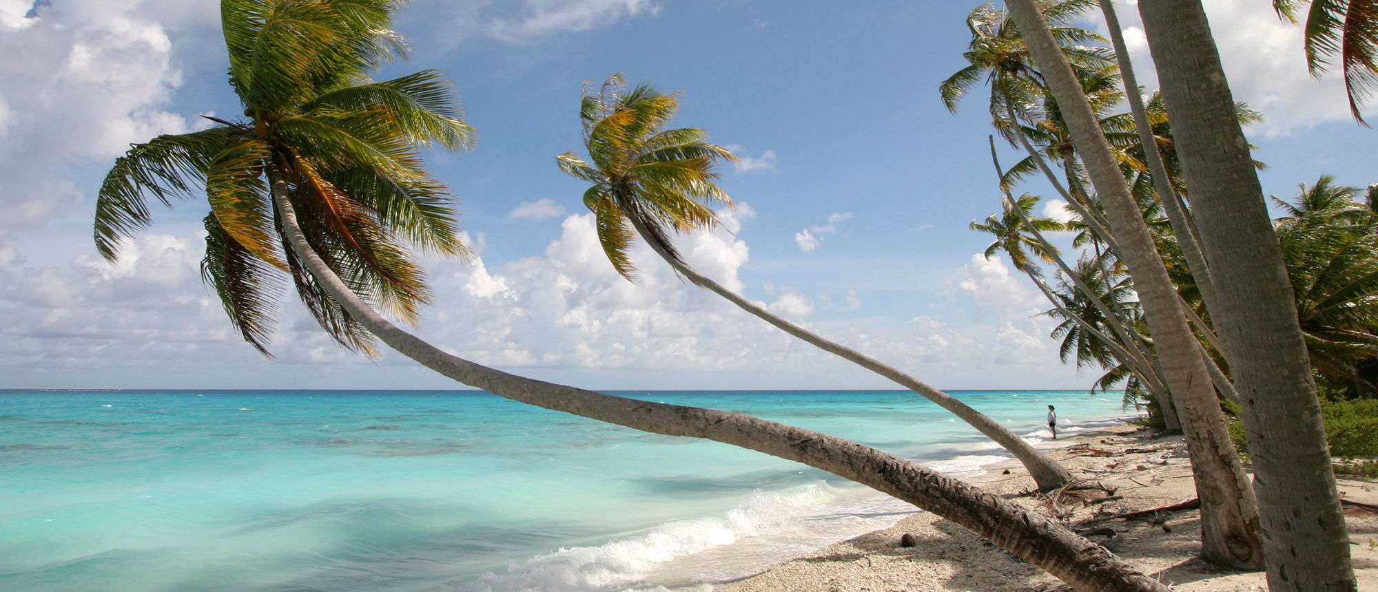 Job offers in French Polynesia